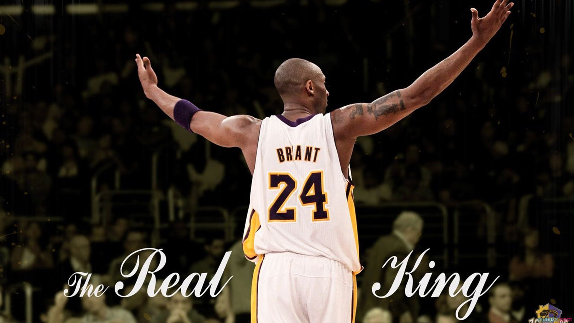 九游体育线上-特色篮球元素融入城市夜景，营造文化氛围，篮球场夜景壁纸图片